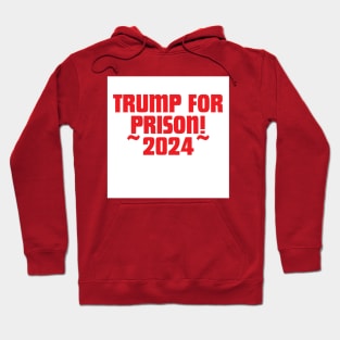 Trump is going to Prison! Hoodie